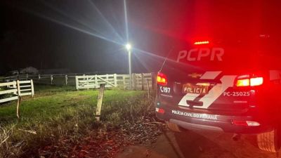 PCPR e PMPR cumprem 64 mandados contra grupo suspeito de furto de gado no Paraná