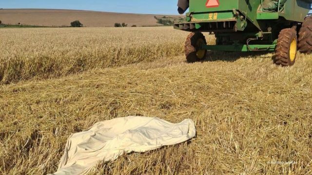 Brasileiro morre esmagado por colheitadeira pilotada pelo filho durante colheita de trigo no Paraguai