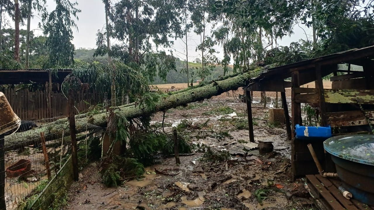 Simepar confirma dois tornados no Paraná entre quarta-feira e madrugada desta quinta