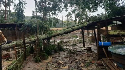 Simepar confirma dois tornados no Paraná entre quarta-feira e madrugada desta quinta