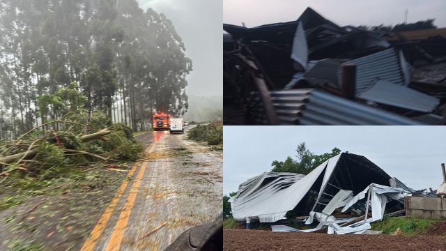 Barracão desaba após fortes ventos e árvores caem em trechos de Espigão Alto do Iguaçu