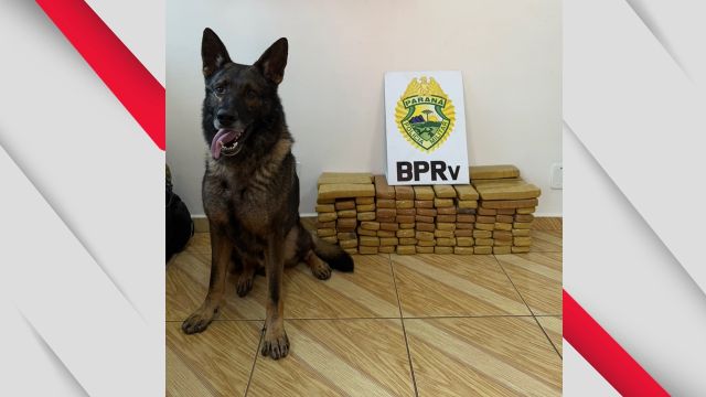 Mulher é presa com 45,3 kg de maconha durante fiscalização na PR-586 em Santa Tereza do Oeste