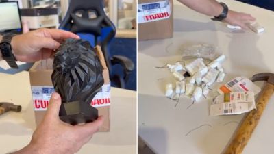 Fauna fitness: Leão e raposa impressos em 3D escondiam medicamentos para emagrecer
