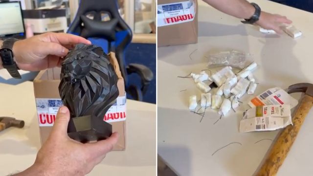 Fauna fitness: Leão e raposa impressos em 3D escondiam medicamentos para emagrecer