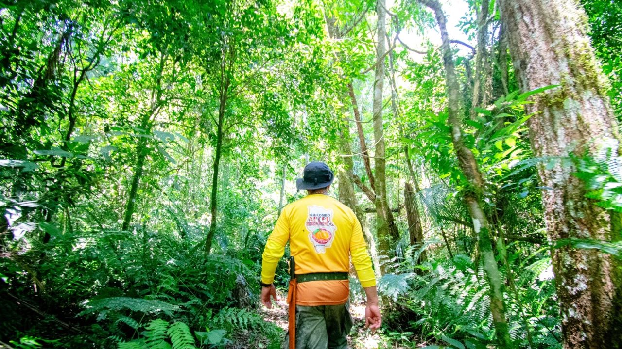 Trilha Quilombo Apepu integra natureza, história e cultura na região Cataratas e Caminhos