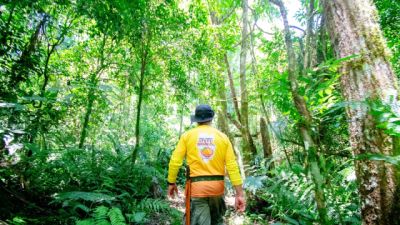 Trilha Quilombo Apepu integra natureza, história e cultura na região Cataratas e Caminhos