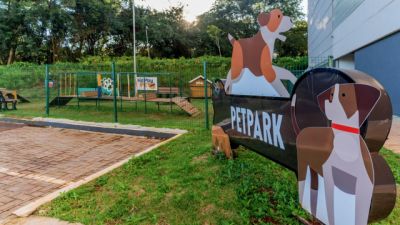 Primavera aumenta passeios com pets e exige cuidados com calor, alergias e parasitas