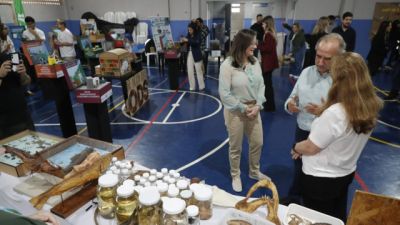 Prefeitura leva estrutura da Secretaria de Meio Ambiente para ações no bairro São Cristóvão