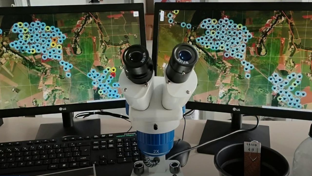 Itaipulândia registra presença do Aedes aegypti em monitoramento de ovitrampas