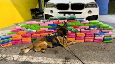PRF apreende 136 kg de cocaína escondidos em BMW na BR-277, em Balsa Nova