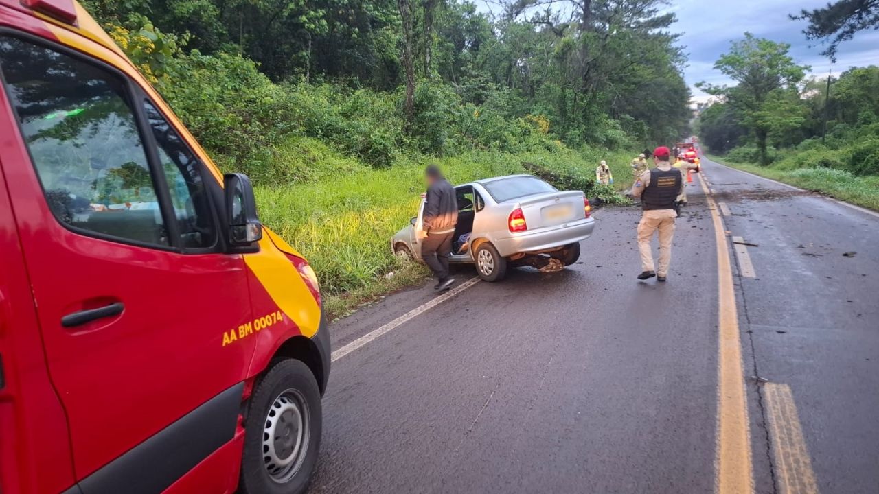 Motociclista fica ferida após bater contra árvore caída na PR-180, em Cascavel