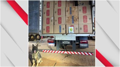 Caminhão com cerca de 40 mil pacotes de cigarros contrabandeados é apreendido em Assis Chateaubriand