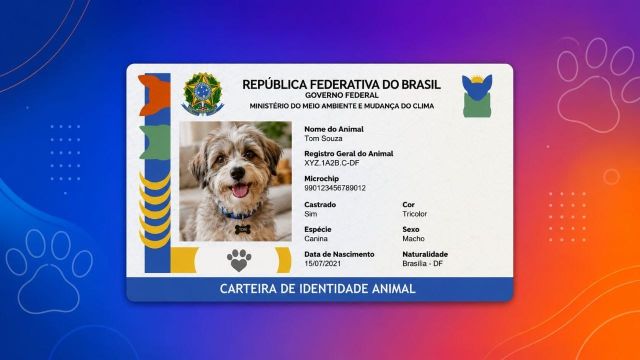 Paraná tem 166 mil animais domésticos cadastrados no SinPatinhas