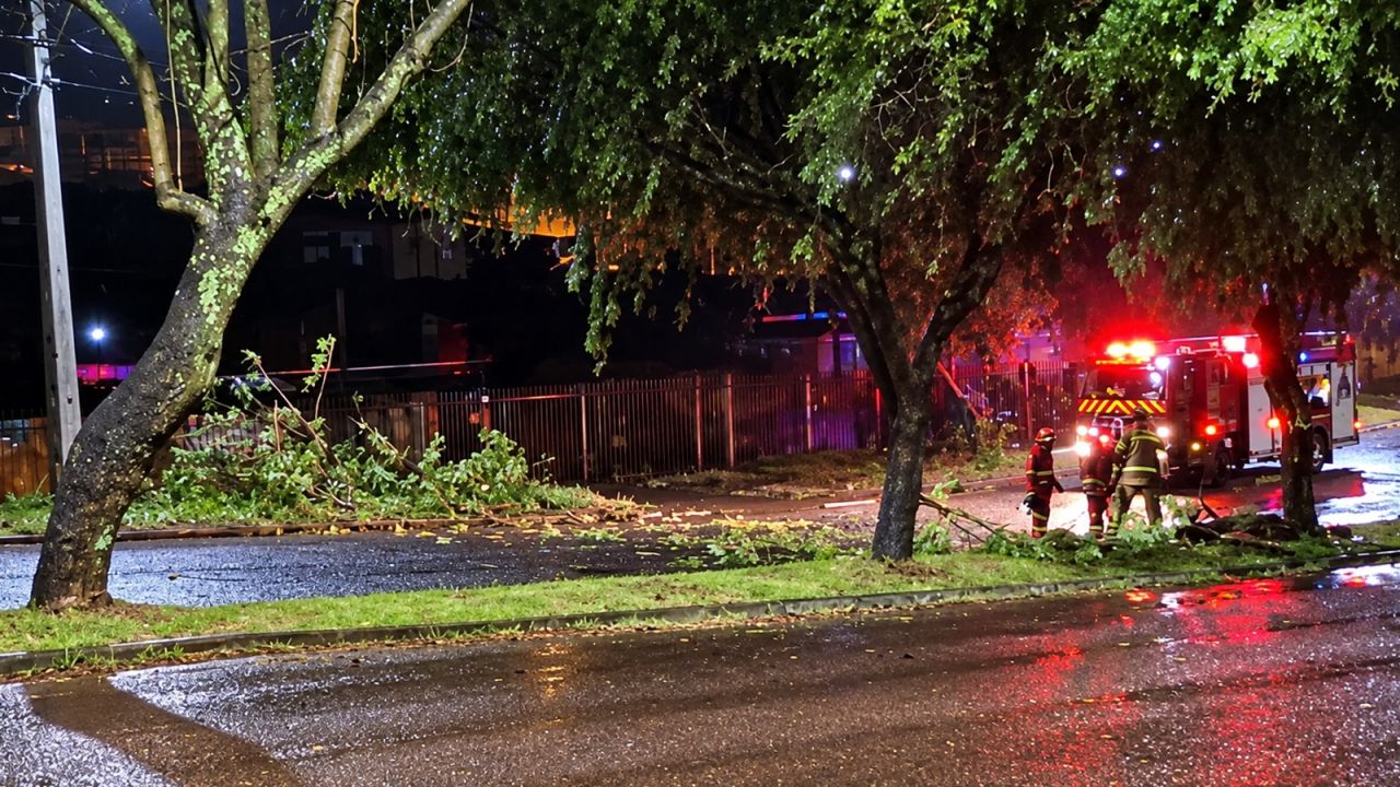 Galhos de árvore caem e interditam parcialmente Rua Olindo Periolo, em Cascavel