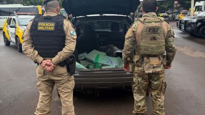 PM e PRF apreendem 213,5 kg de maconha e recuperam veículo roubado na BR-163, em Toledo