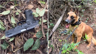 PM encontra pistola escondida em área de mata após suspeito fugir de abordagem em Palotina