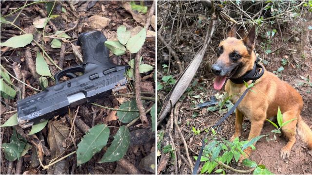 PM encontra pistola escondida em área de mata após suspeito fugir de abordagem em Palotina