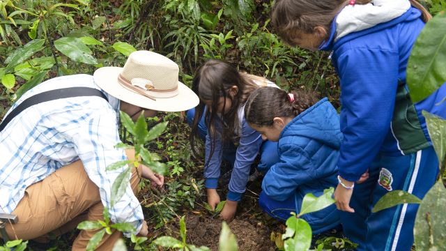 Dia do Educador Ambiental: Cidadão Sustentável leva formação a 119 municípios do Paraná