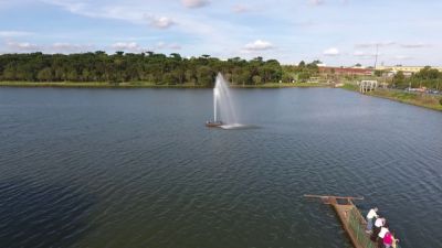 Outubro Rosa em Movimento reúne mulheres para caminhada e corrida neste sábado (17) no Lago Municipal