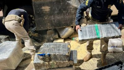 PRF apreende 2,6 toneladas de maconha escondidas em carga de maravalha em Cascavel