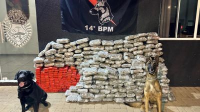 Apreensões de maconha crescem 228% em dez anos na fronteira do Paraná