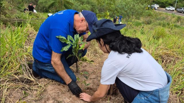 Paraná vai fechar o ano com mais de 15 milhões de espécies nativas distribuídas desde 2019