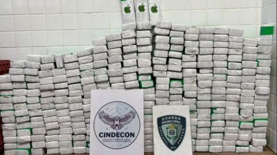 Guarda Municipal apreende 191,3 kg de maconha em veículo na BR-277, em Cascavel