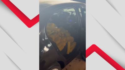 PRF e DENARC apreendem 550 kg de maconha após perseguição na BR-277 em Cascavel