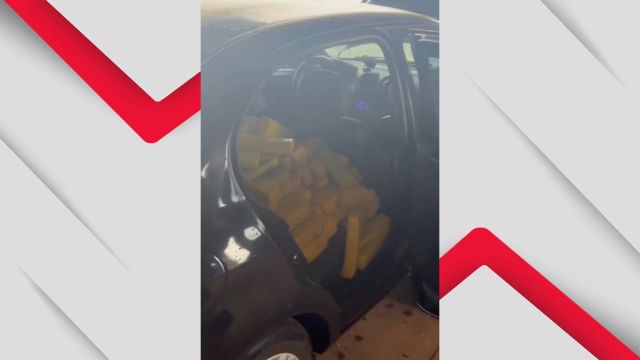 PRF e DENARC apreendem 550 kg de maconha após perseguição na BR-277 em Cascavel