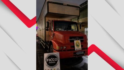 BPFRON e FICCO/PR apreendem caminhão com medicamentos, cigarros eletrônicos e mercadorias na BR-277