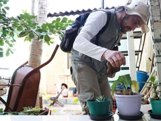 Cascavel realiza novo Levantamento para medir infestação por dengue