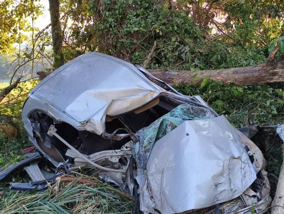 Dois jovens morrem após veiculo sair da pista e colidir contra arvores na PR-493 em Verê