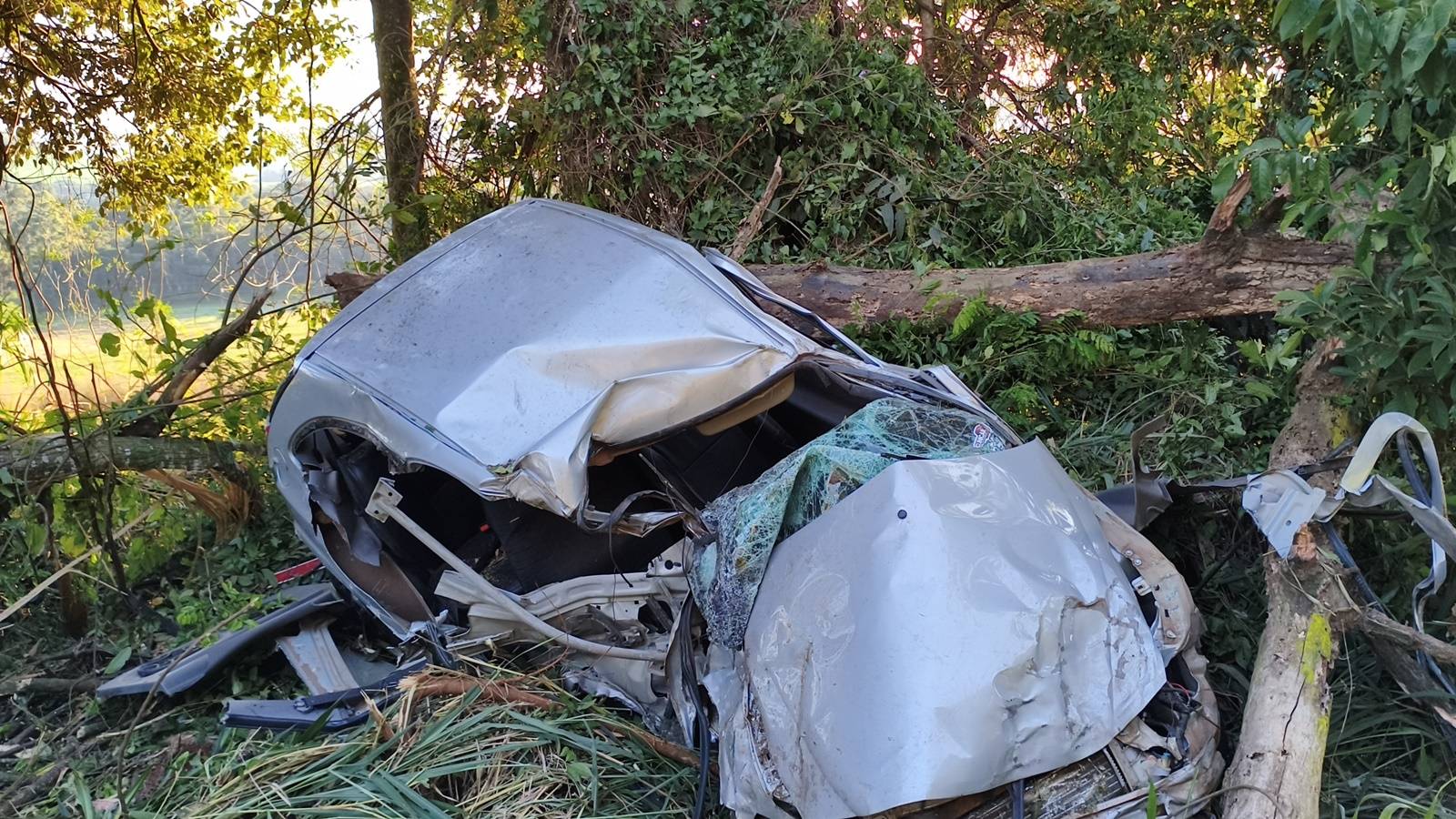 Dois jovens morrem após veiculo sair da pista e colidir contra arvores na PR-493 em Verê