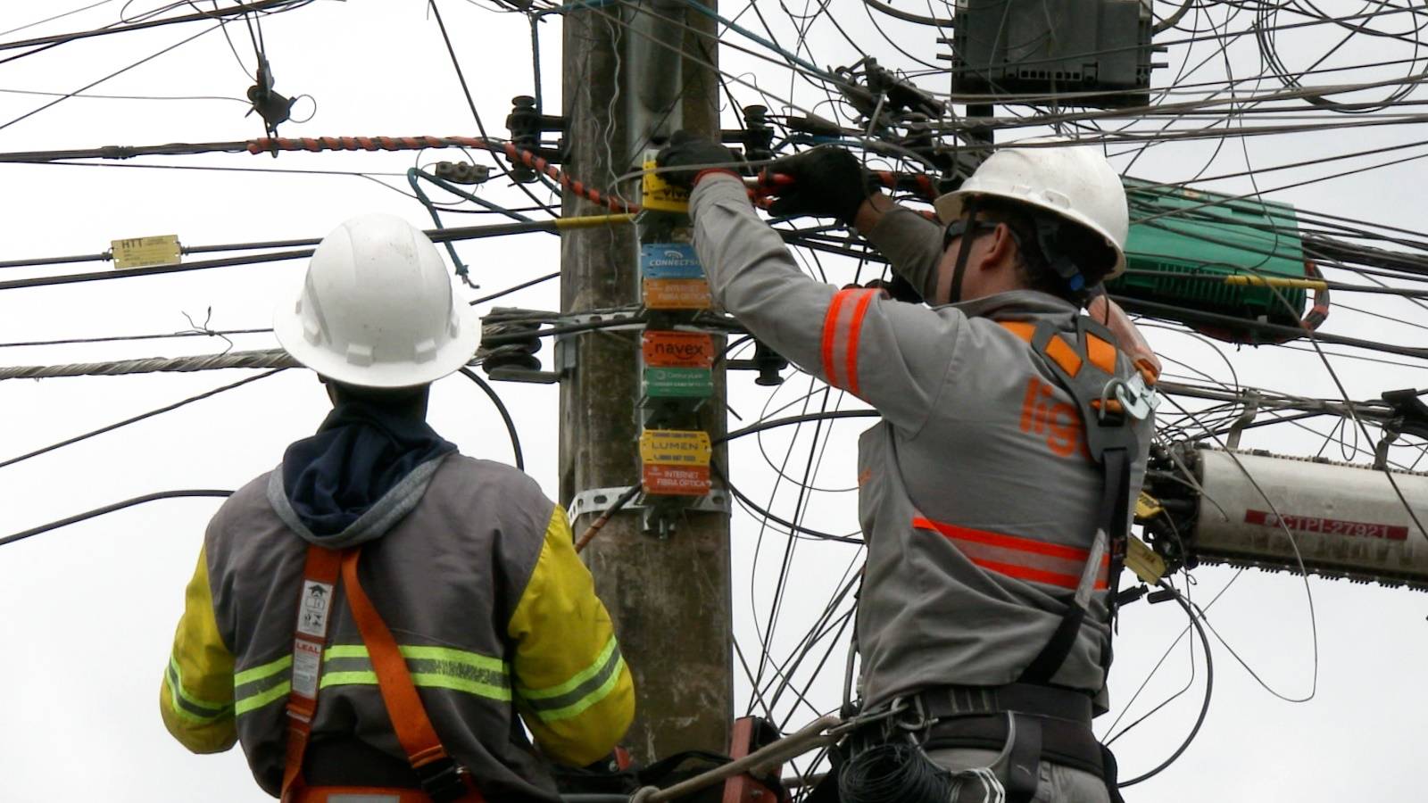 Tarifa de energia do Paraná é 2,1% mais barata, graças a gestão da Copel sobre postes compartilhados