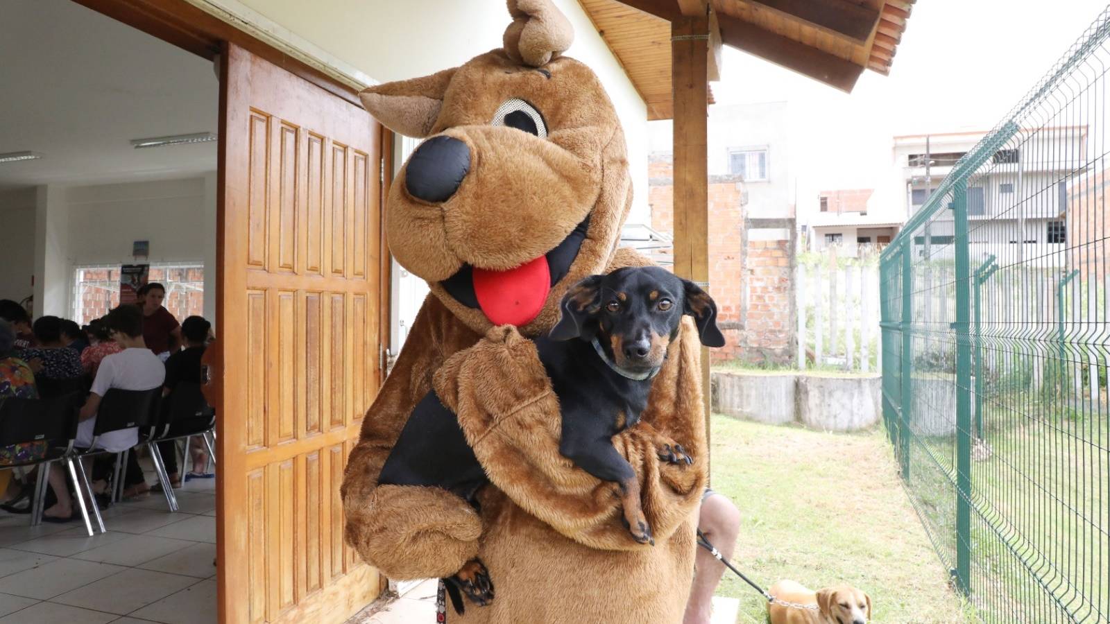 CastraPet inicia mais de 300 castrações gratuitas de cães e gatos em Cascavel