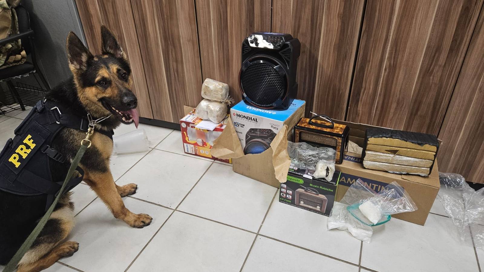 Com cães farejadores, PRF apreende maconha e metanfetamina em encomendas enviadas pelos Correios