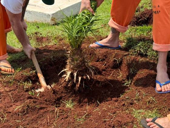 Capacitação em jardinagem prepara pessoas privadas de liberdade para o mercado de trabalho