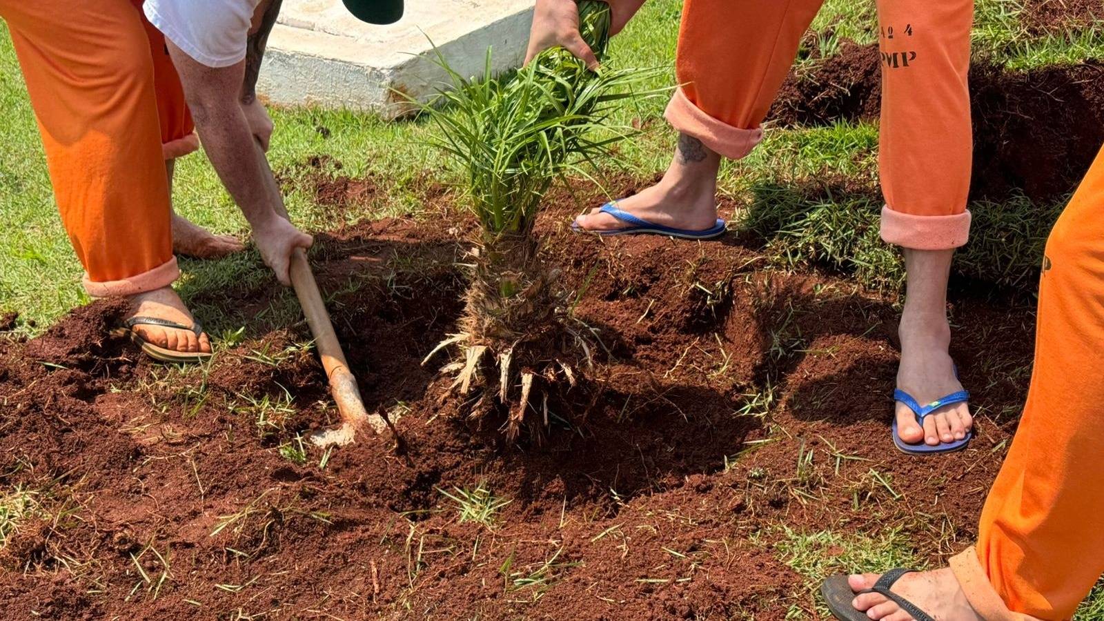 Capacitação em jardinagem prepara pessoas privadas de liberdade para o mercado de trabalho