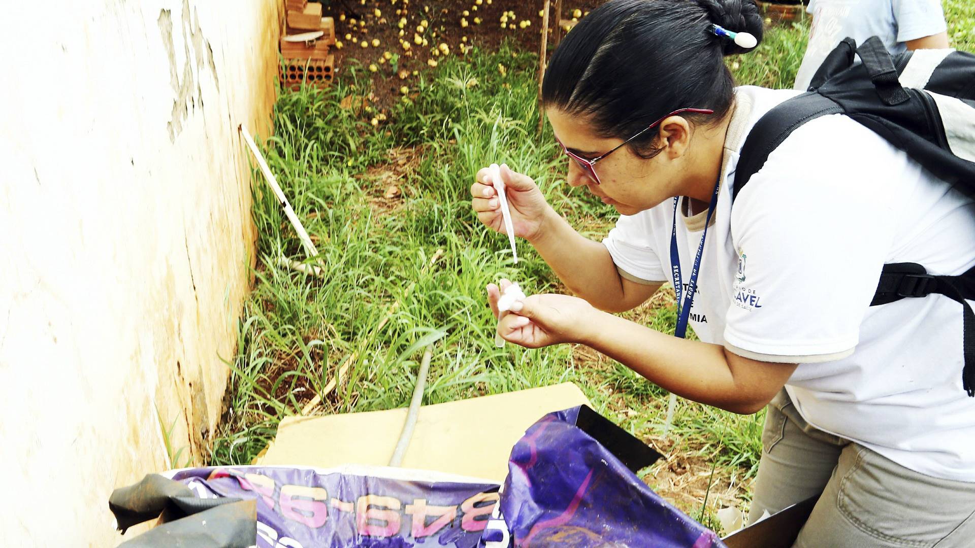 Centro de Operações de Emergência vai monitorar casos de dengue no Paraná