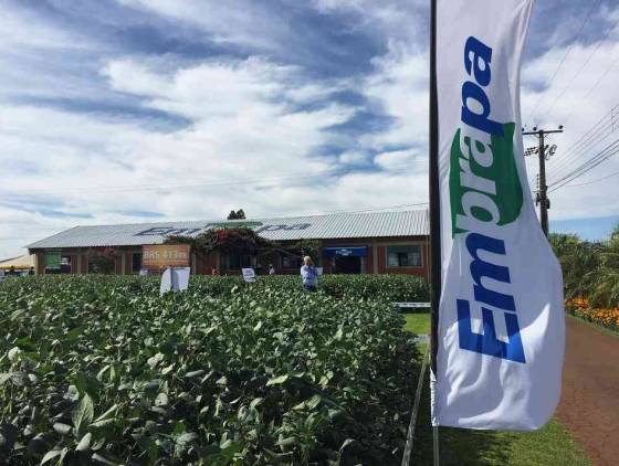 Embrapa apresenta tecnologias e lançamentos para produção sustentável no Show Rural