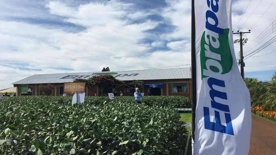 Embrapa apresenta tecnologias e lançamentos para produção sustentável no Show Rural