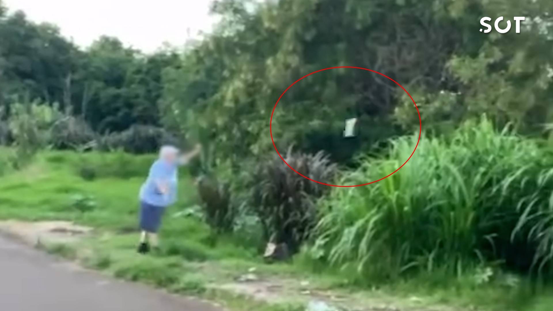 Revoltante: Homem é flagrado jogando filhote de gato em riacho no Bairro Santa Cruz em Cascavel