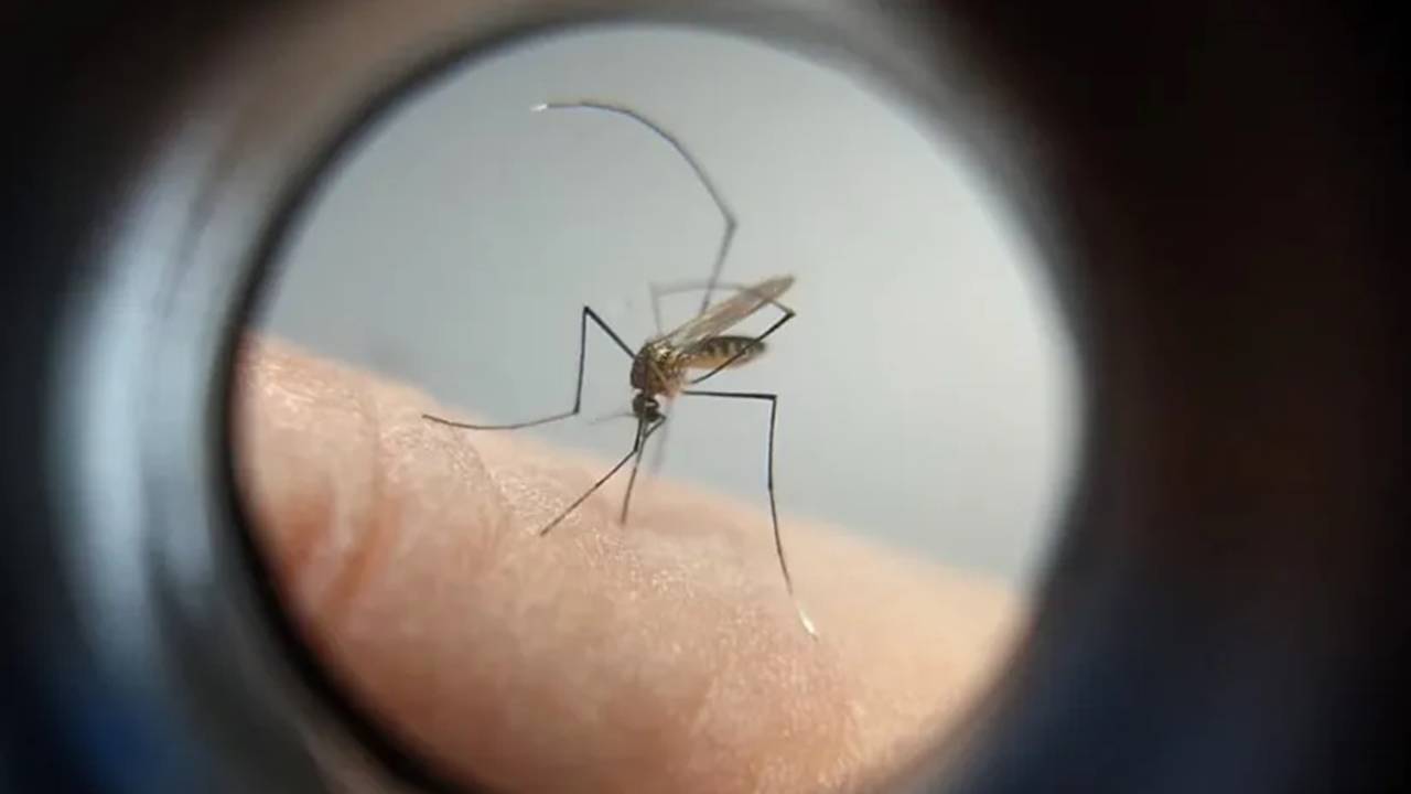 Dengue em Itaipulândia: Mais de mil casos são confirmados e uma morte é registrada