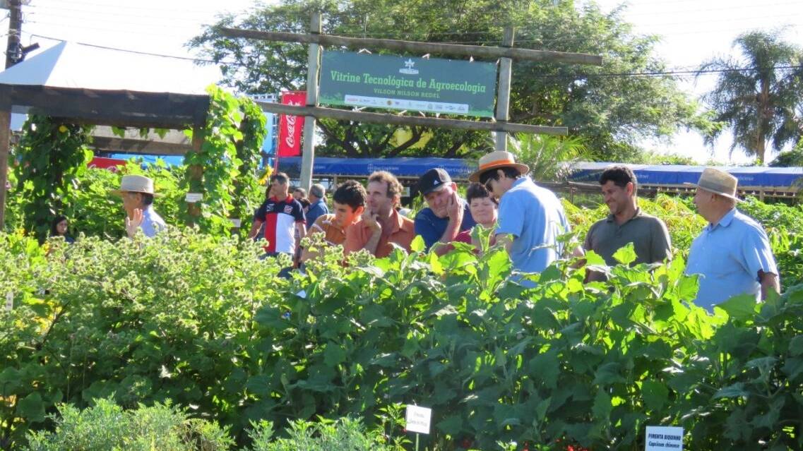 Vitrine de Agroecologia será uma das novidades do Show Rural de Inverno