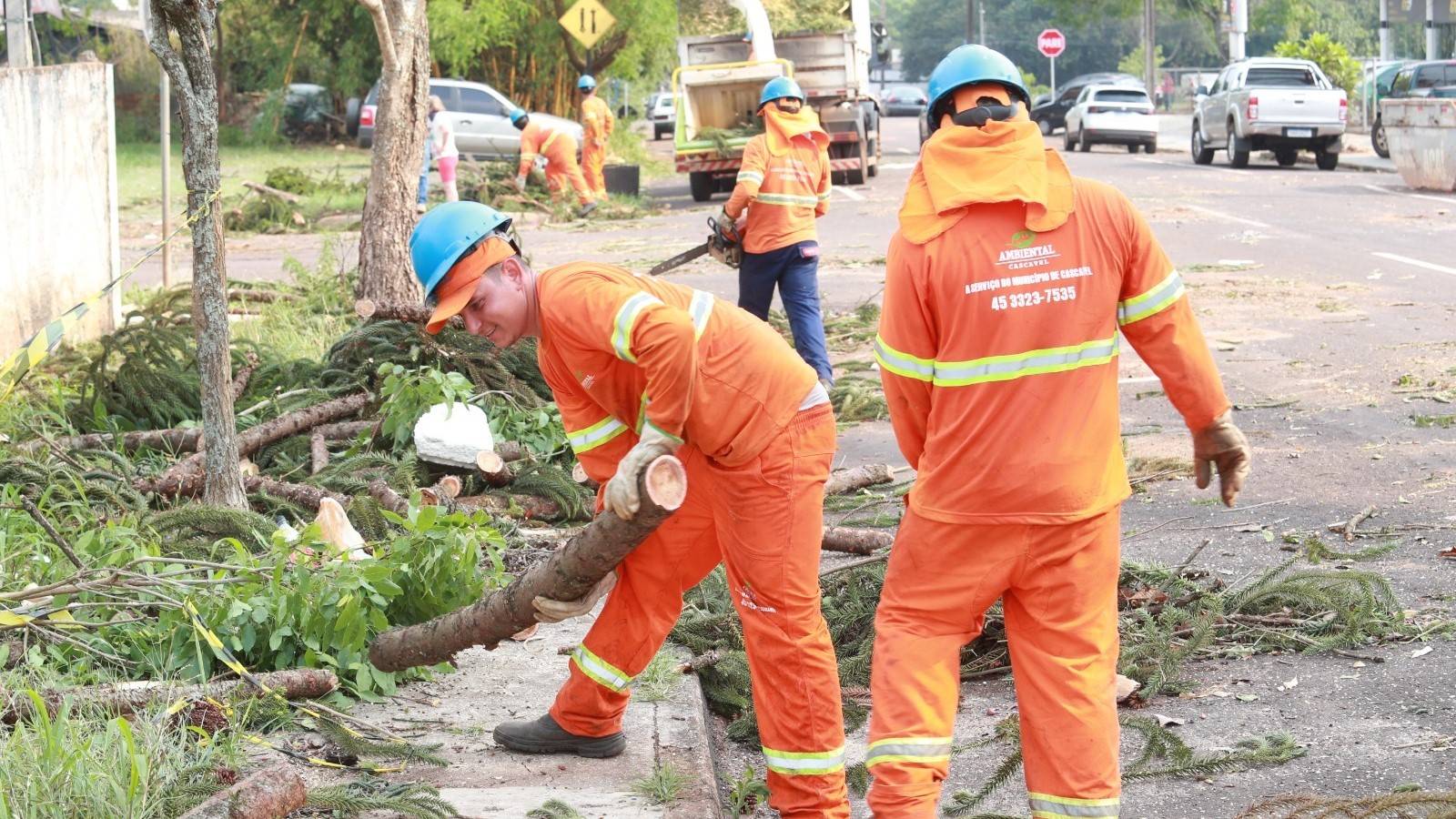 Tornado: Meio Ambiente remove mais de 100 árvores caídas em Cascavel