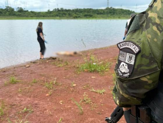 Corpo encontrado às margens do Lago de Itaipu em circunstâncias misteriosas