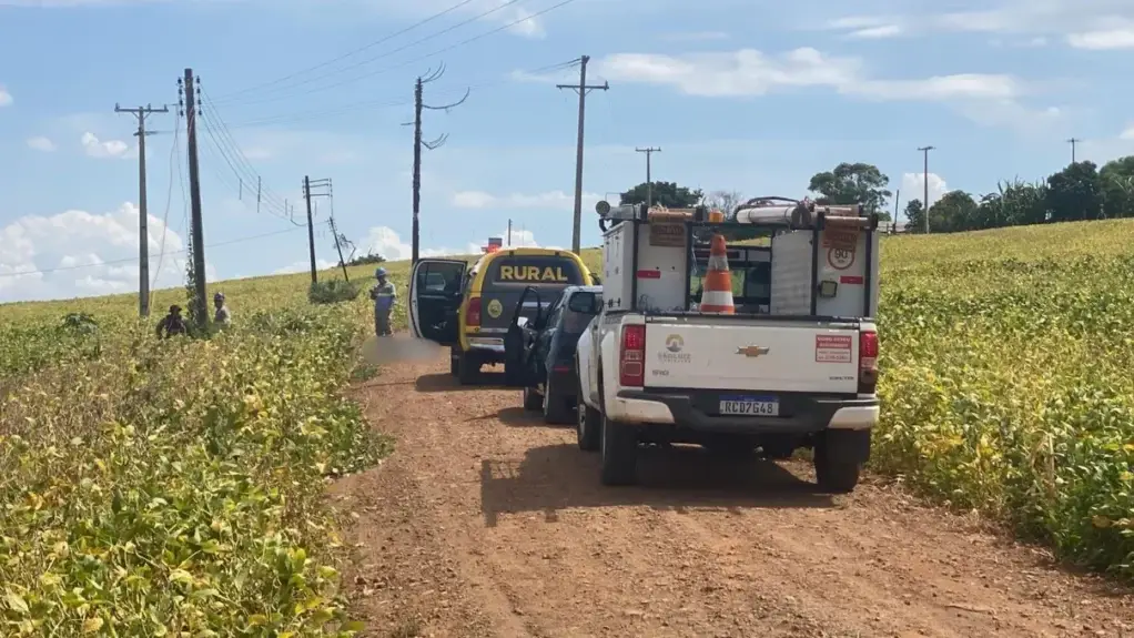 Homem morre eletrocutado ao tocar em rede de alta tensão em Arapongas