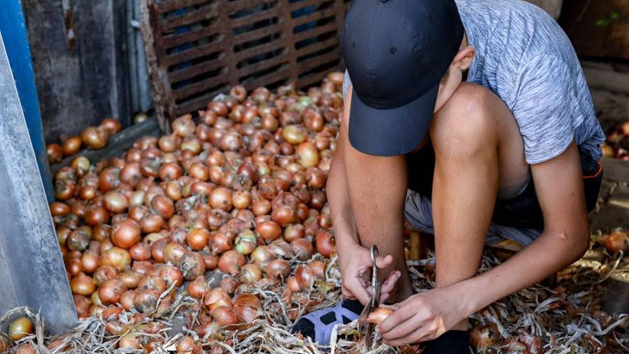 Governo Federal afasta cerca de 4.500 crianças do trabalho infantil em dois anos