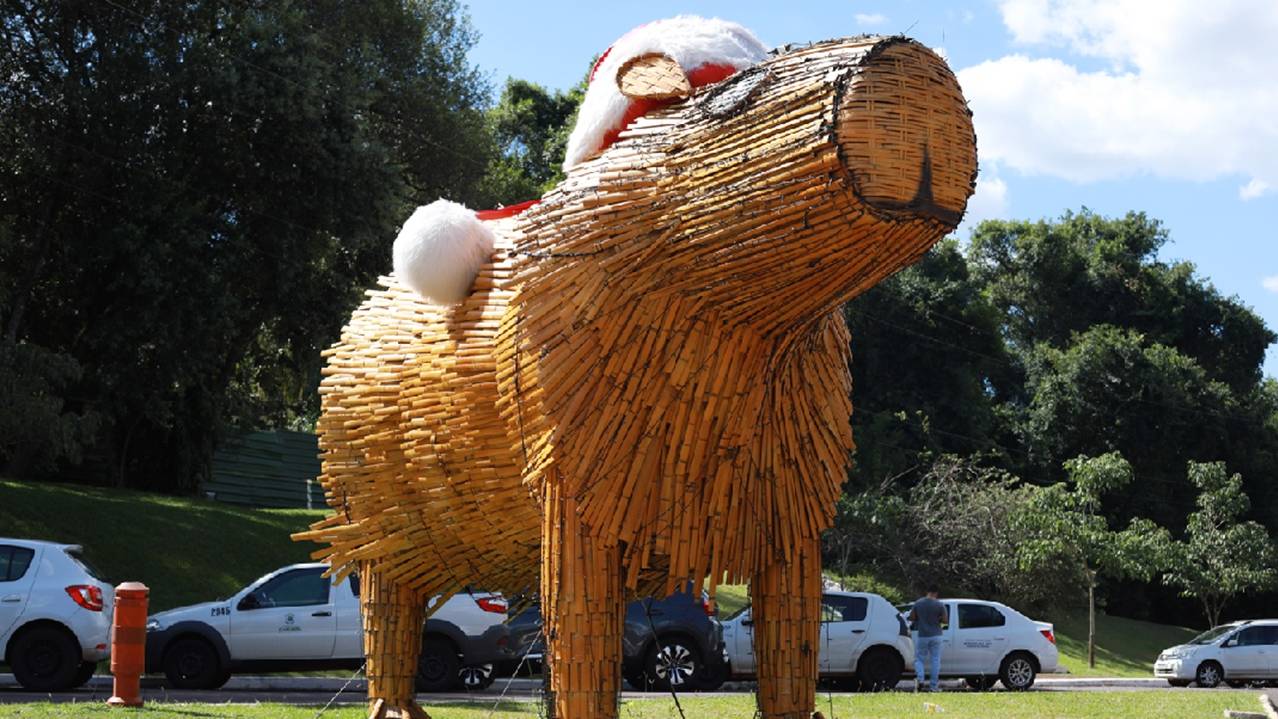 Capivara de bambu fez tanto sucesso que agora é moradora permanente do Lago Municipal