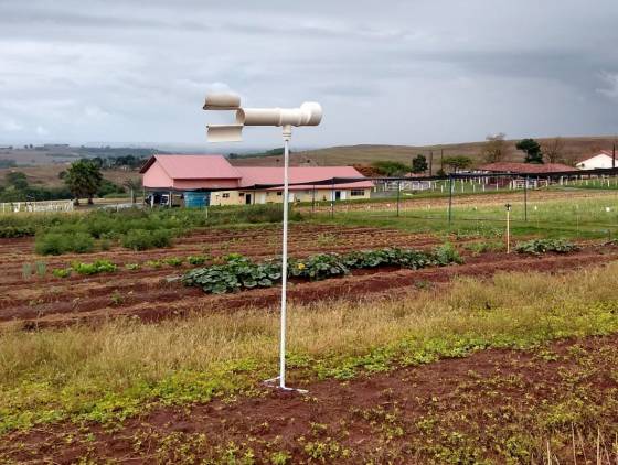 Pesquisadores do Paraná usam Inteligência Artificial para combate da ferrugem da soja